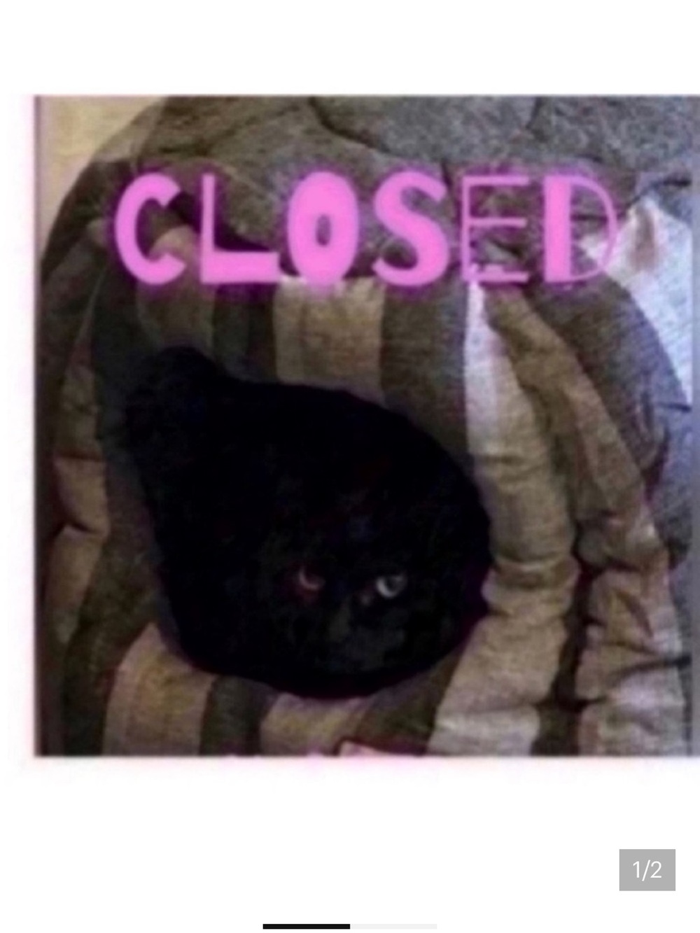 CLOSED 🐈‍⬛Pillows pick 5